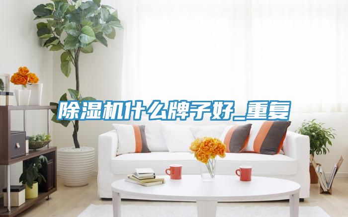 抖音成人版下载什么牌子好_重复