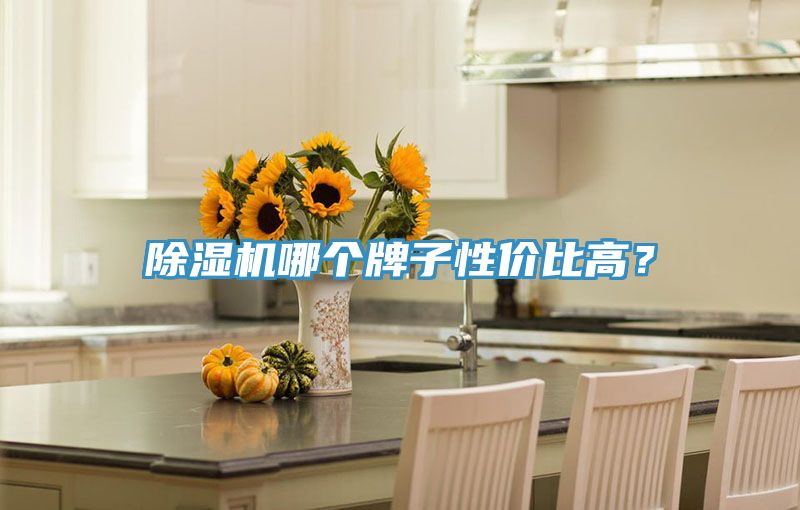 抖音成人版下载哪个牌子性价比高？