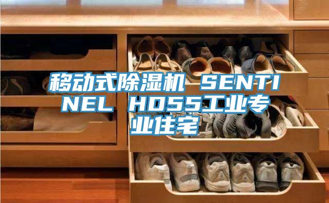移动式抖音成人版下载 SENTINEL HD55工业专业住宅