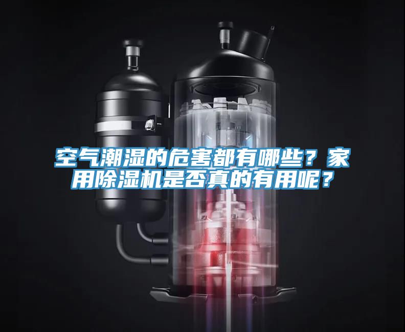 空气潮湿的危害都有哪些？家用抖音成人版下载是否真的有用呢？