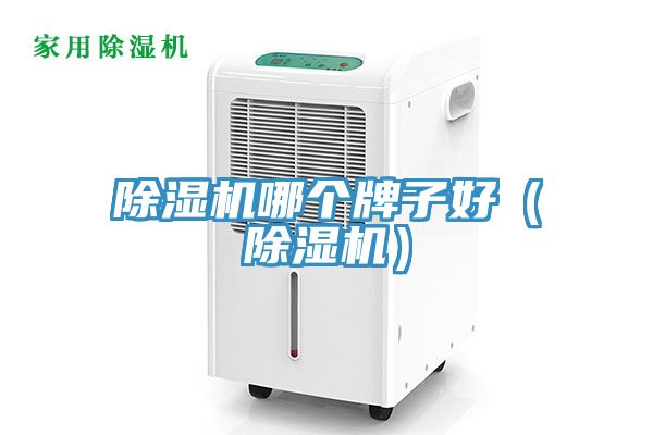 抖音成人版下载哪个牌子好（抖音成人版下载）