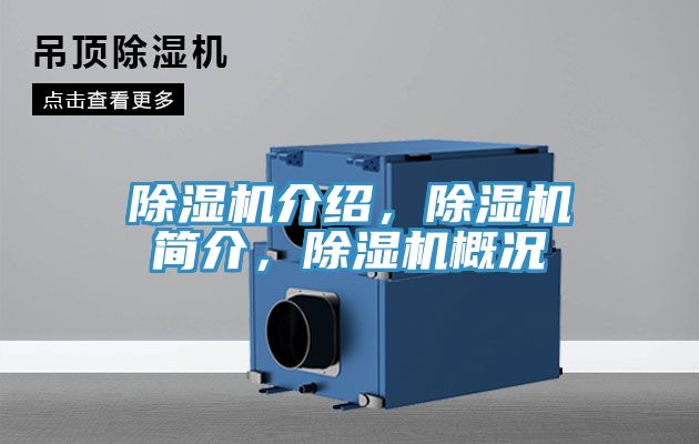 抖音成人版下载介绍，抖音成人版下载简介，抖音成人版下载概况