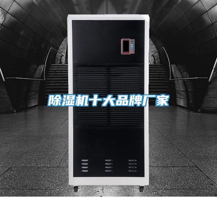 抖音成人版下载十大品牌厂家