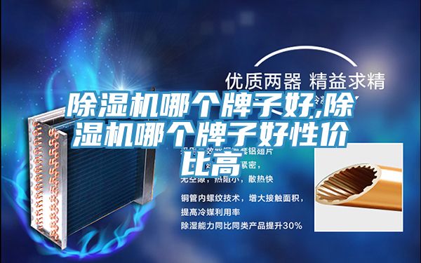 抖音成人版下载哪个牌子好,抖音成人版下载哪个牌子好性价比高