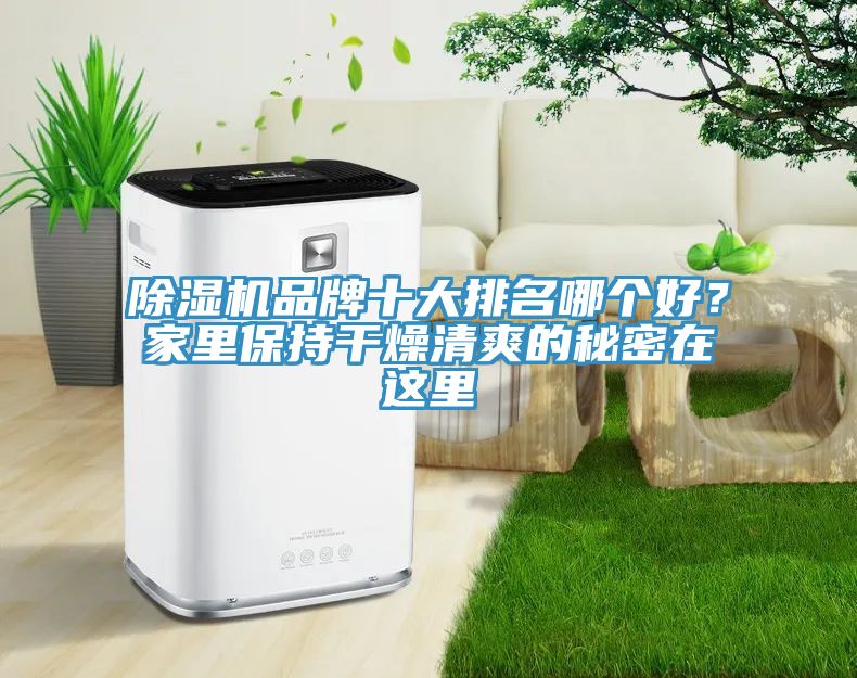 抖音成人版下载品牌十大排名哪个好？家里保持干燥清爽的秘密在这里
