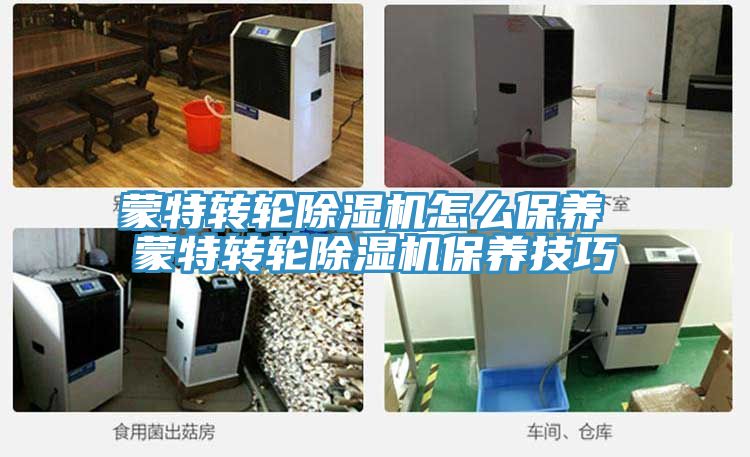 蒙特转轮抖音成人版下载怎么保养 蒙特转轮抖音成人版下载保养技巧