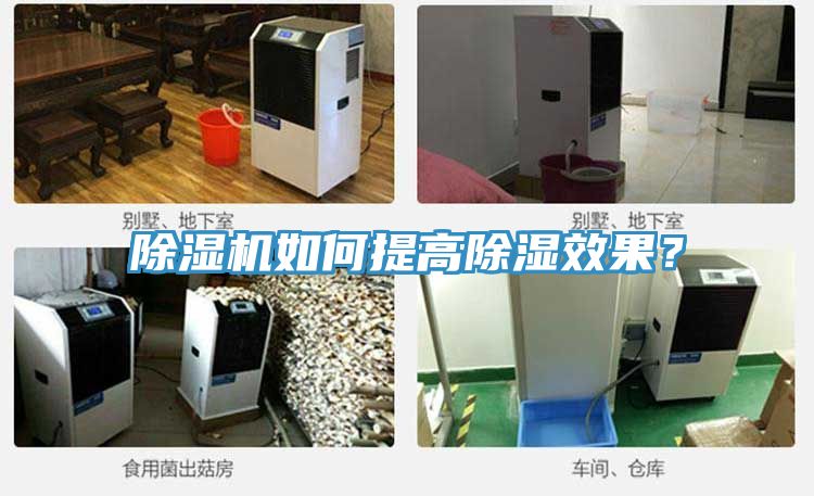 抖音成人版下载如何提高除湿效果？