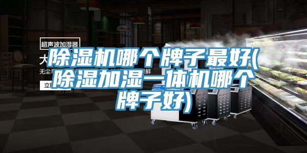 抖音成人版下载哪个牌子最好(除湿加湿一体机哪个牌子好)