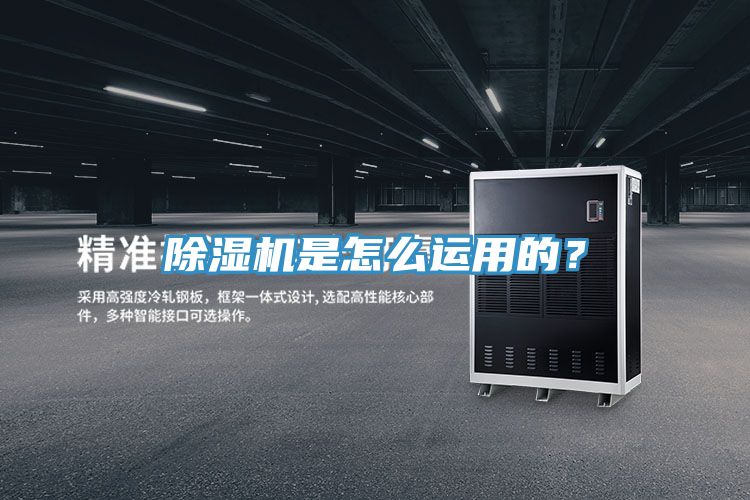 抖音成人版下载是怎么运用的？