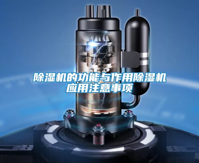 抖音成人版下载的功能与作用抖音成人版下载应用注意事项