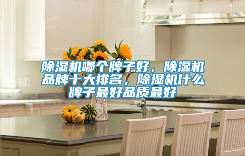 抖音成人版下载哪个牌子好，抖音成人版下载品牌十大排名，抖音成人版下载什么牌子最好品质最好