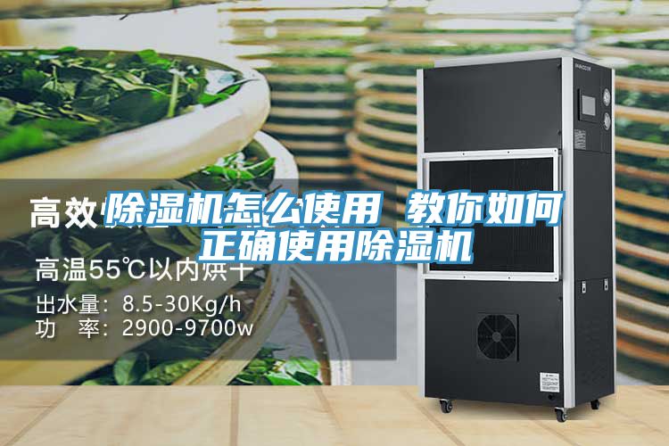 抖音成人版下载怎么使用 教你如何正确使用抖音成人版下载