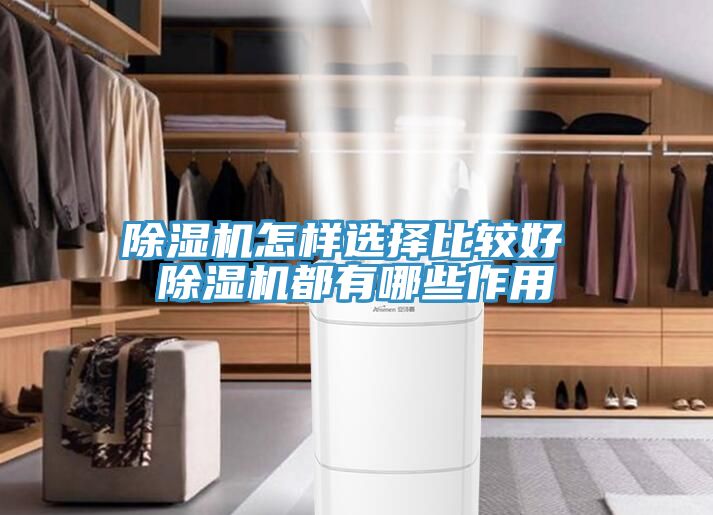 抖音成人版下载怎样选择比较好 抖音成人版下载都有哪些作用