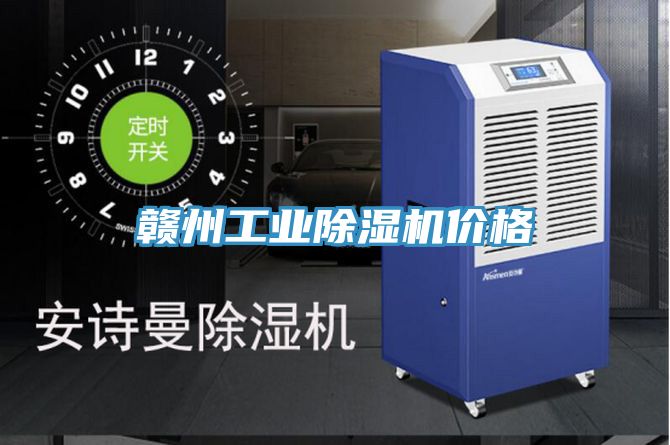 赣州工业抖音成人版下载价格