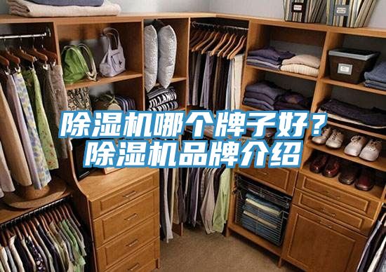 抖音成人版下载哪个牌子好？抖音成人版下载品牌介绍