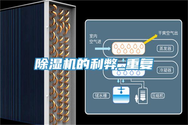 抖音成人版下载的利弊_重复