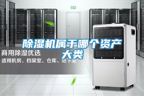 抖音成人版下载属于哪个资产大类