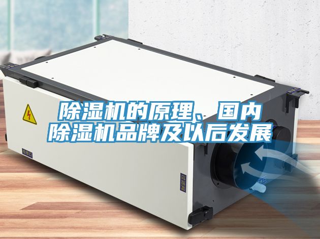 抖音成人版下载的原理、国内抖音成人版下载品牌及以后发展