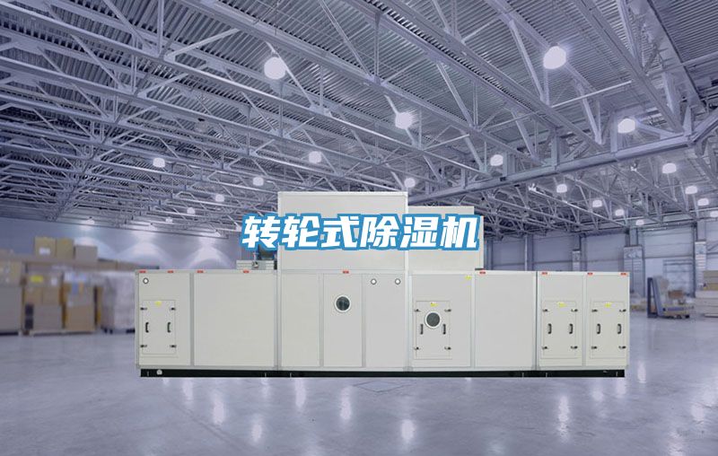 转轮式抖音成人版下载