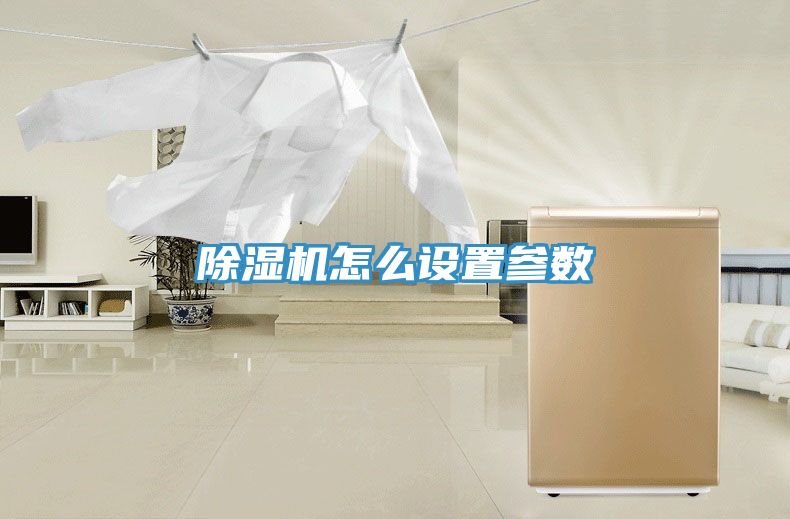 抖音成人版下载怎么设置参数