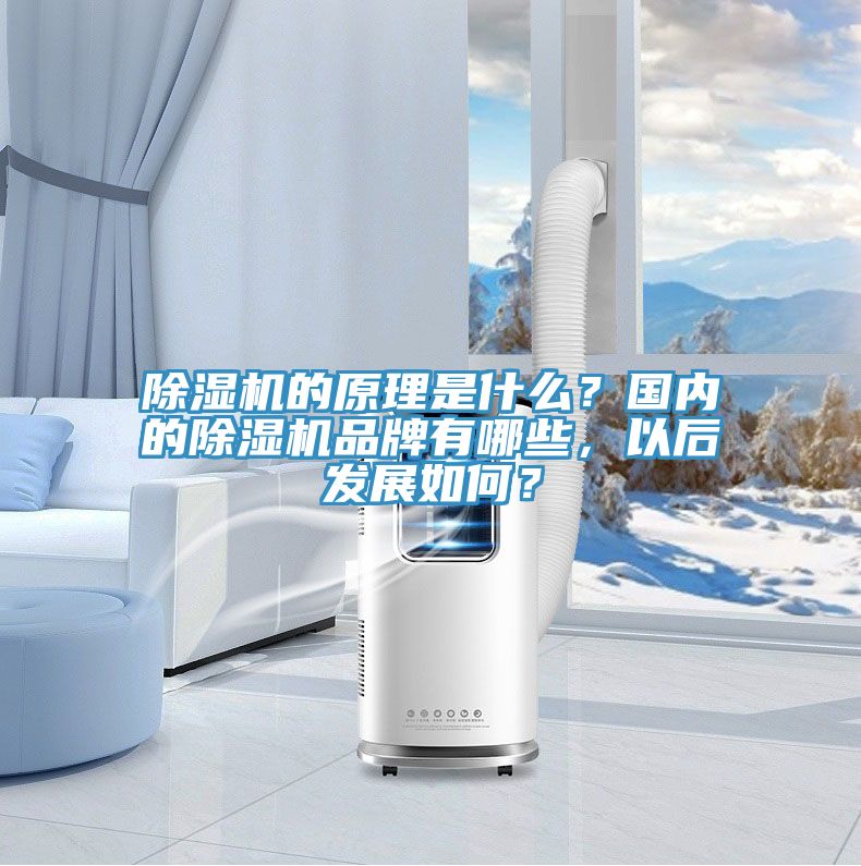 抖音成人版下载的原理是什么？国内的抖音成人版下载品牌有哪些，以后发展如何？