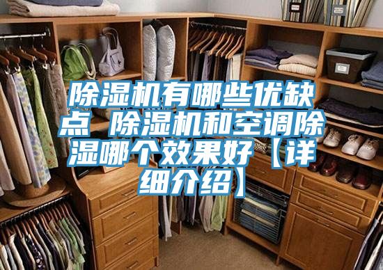 抖音成人版下载有哪些优缺点 抖音成人版下载和空调除湿哪个效果好【详细介绍】