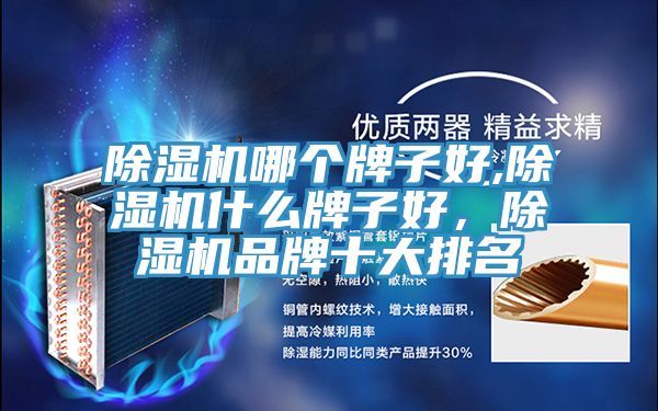 抖音成人版下载哪个牌子好,抖音成人版下载什么牌子好，抖音成人版下载品牌十大排名