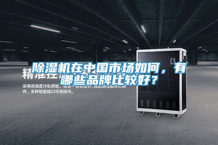 抖音成人版下载在中国市场如何，有哪些品牌比较好？