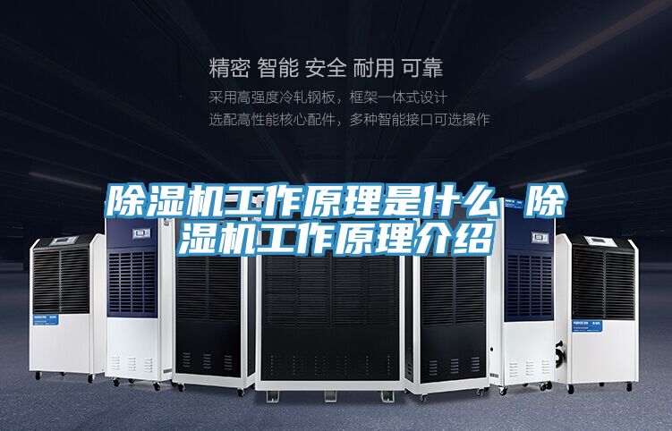 抖音成人版下载工作原理是什么 抖音成人版下载工作原理介绍