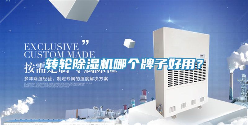 转轮抖音成人版下载哪个牌子好用？