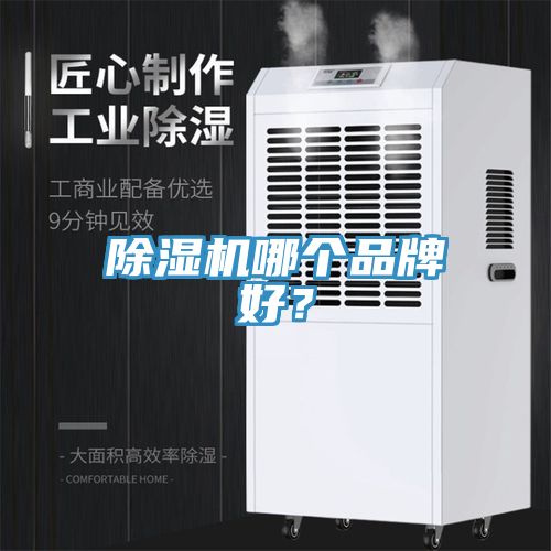 抖音成人版下载哪个品牌好？