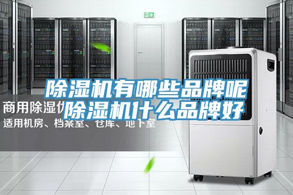 抖音成人版下载有哪些品牌呢 抖音成人版下载什么品牌好