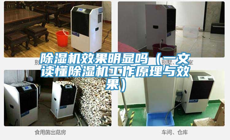 抖音成人版下载效果明显吗（一文读懂抖音成人版下载工作原理与效果）