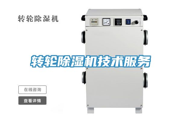 转轮抖音成人版下载技术服务