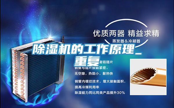 抖音成人版下载的工作原理_重复