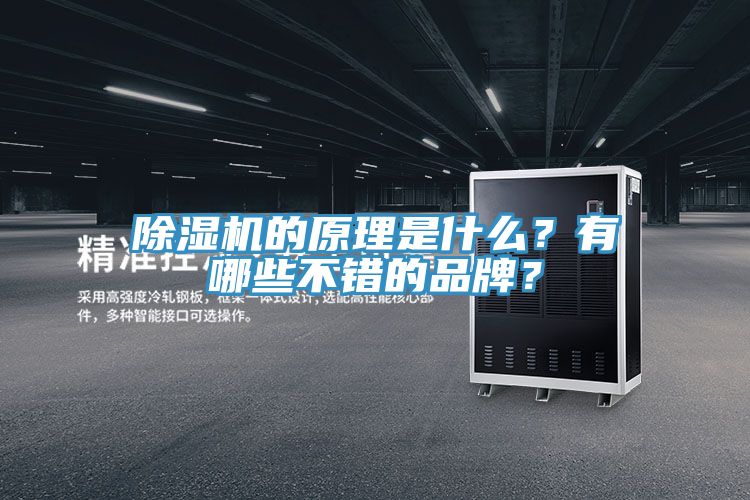 抖音成人版下载的原理是什么？有哪些不错的品牌？