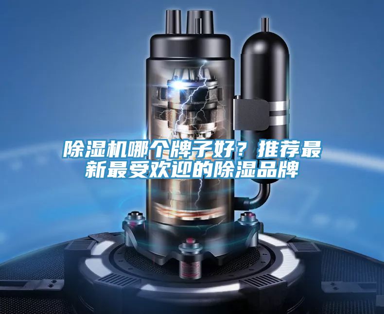 抖音成人版下载哪个牌子好？推荐最新最受欢迎的除湿品牌