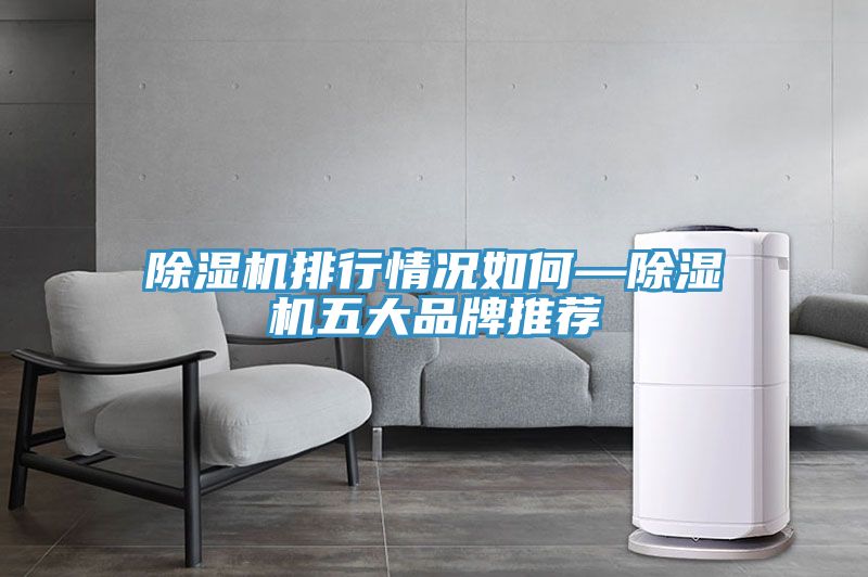 抖音成人版下载排行情况如何—抖音成人版下载五大品牌推荐