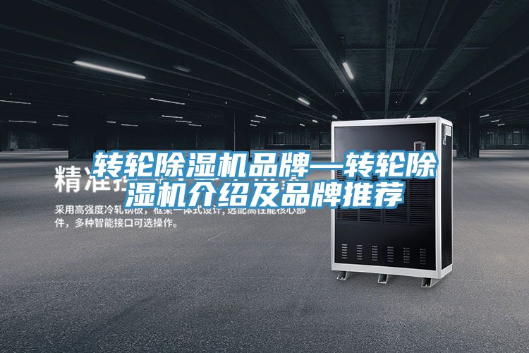 转轮抖音成人版下载品牌—转轮抖音成人版下载介绍及品牌推荐