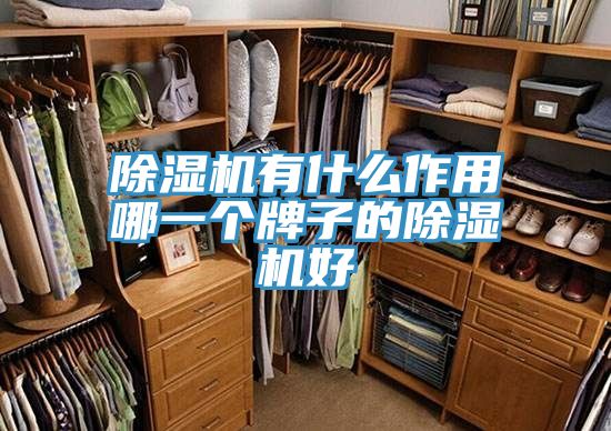 抖音成人版下载有什么作用哪一个牌子的抖音成人版下载好