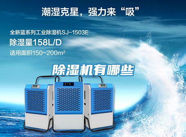 抖音成人版下载有哪些