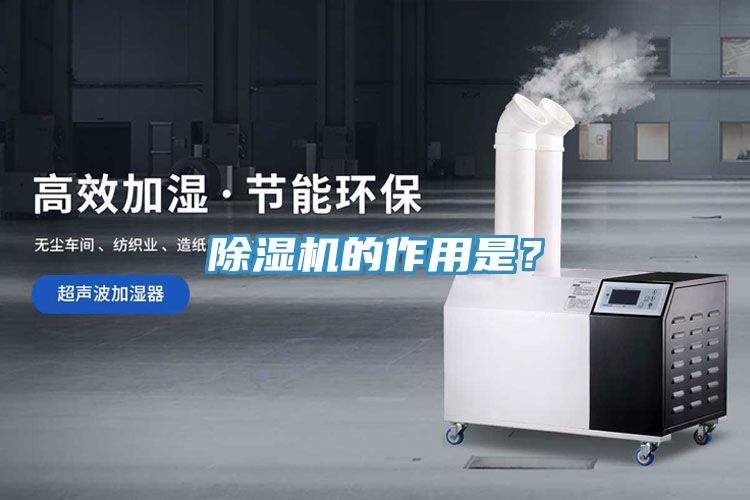 抖音成人版下载的作用是？