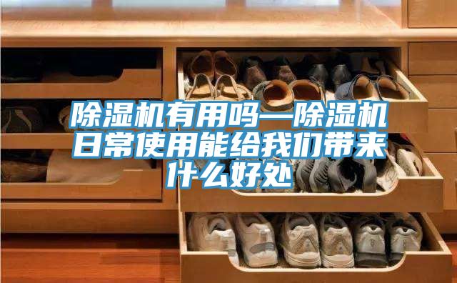 抖音成人版下载有用吗—抖音成人版下载日常使用能给抖音成人版在线观看带来什么好处