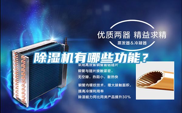 抖音成人版下载有哪些功能？