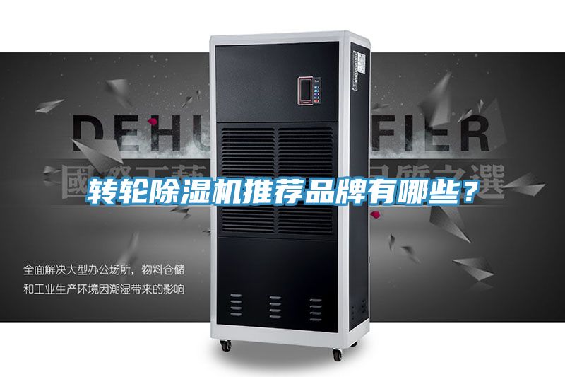 转轮抖音成人版下载推荐品牌有哪些？