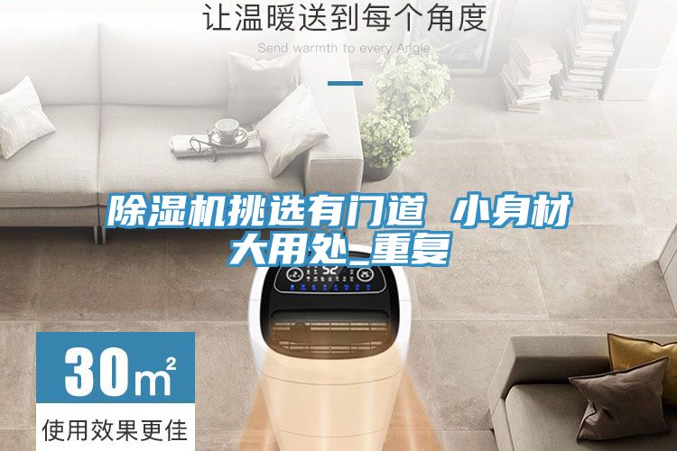 抖音成人版下载挑选有门道 小身材大用处_重复