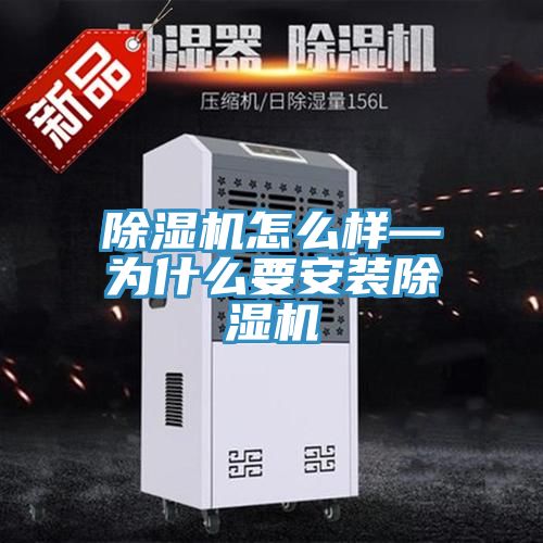 抖音成人版下载怎么样—为什么要安装抖音成人版下载