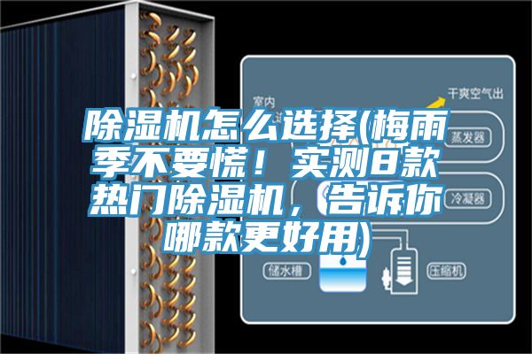 抖音成人版下载怎么选择(梅雨季不要慌！实测8款热门抖音成人版下载，告诉你哪款更好用)