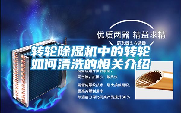 转轮抖音成人版下载中的转轮如何清洗的相关介绍