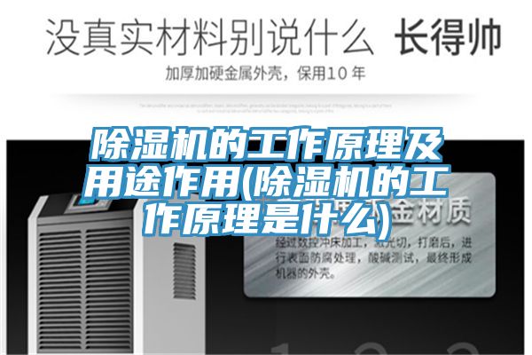 抖音成人版下载的工作原理及用途作用(抖音成人版下载的工作原理是什么)